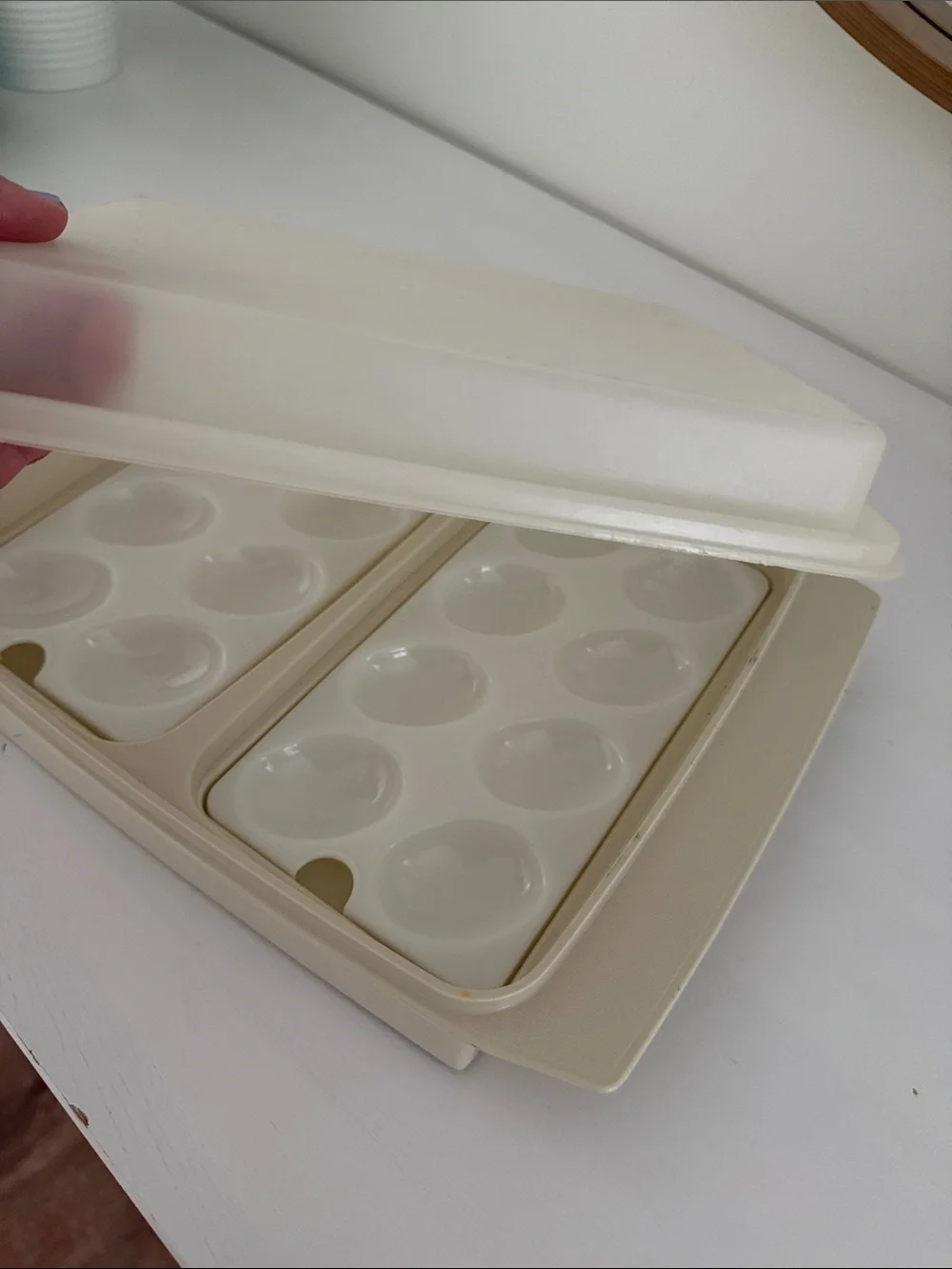 Deviled Egg Storage Container - Home Storage & Organization